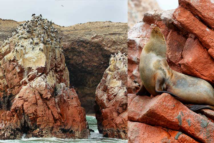 The Ballestas islands in Peru