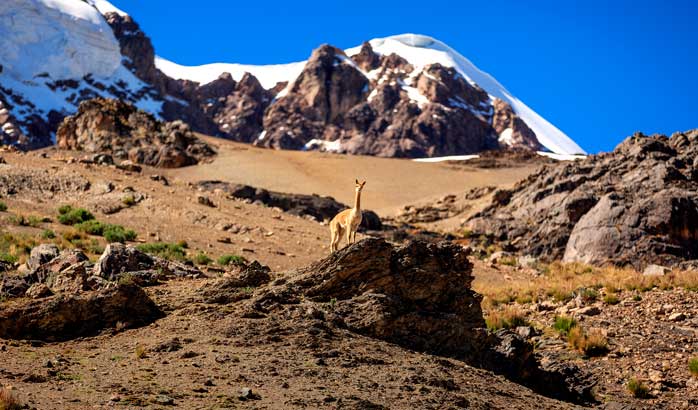 Peru Tour