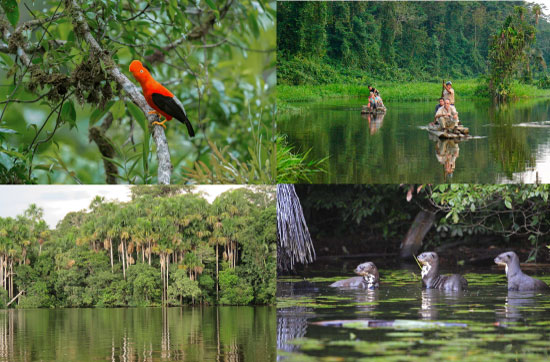 Amazon Tours, Manu