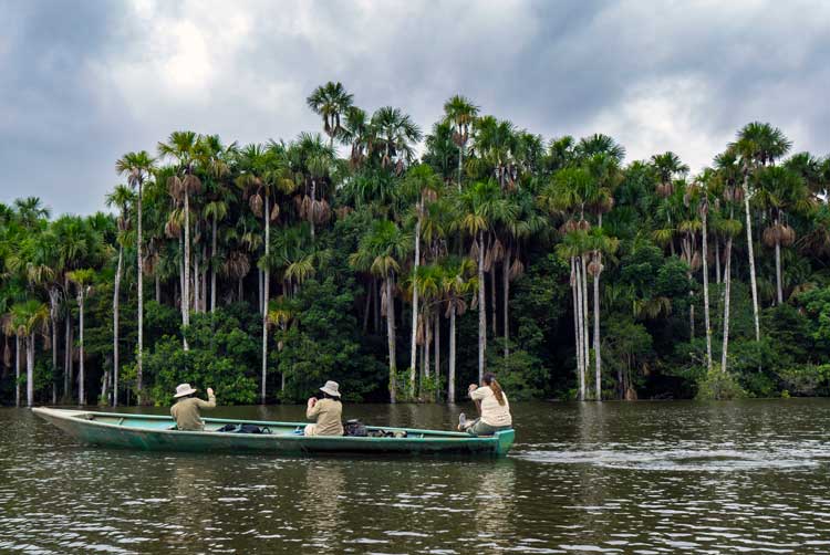 Tambopata Jungle / Sandoval, Amazon Tours