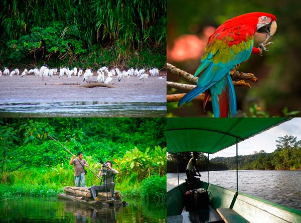 Manu Nacional Park, Amazon Tours,