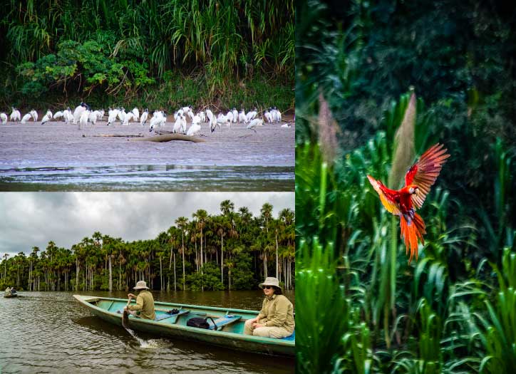 Tambopat(Sandoval Lake) and the wildlife
