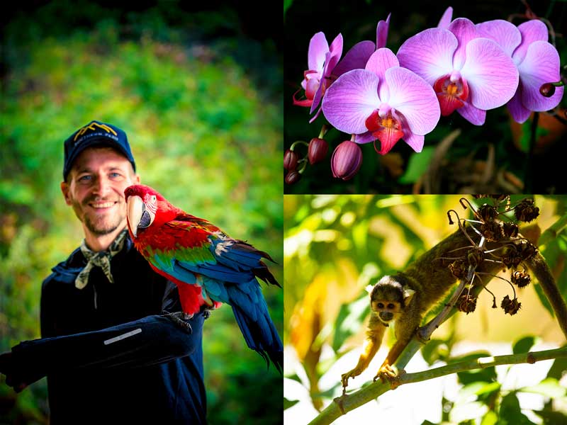 biodiversity of the inca jungle tour