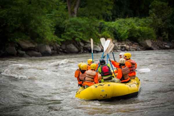 Încă Jungle Booking