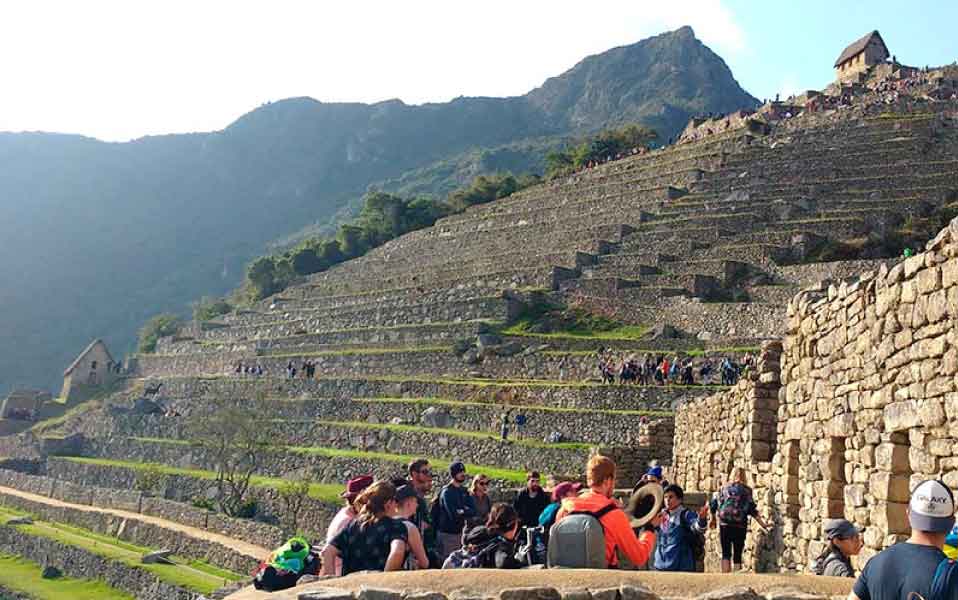 Machu Picchu agricultural terraces in Peru with stone platforms, green fields, and Andes mountain landscape in the background