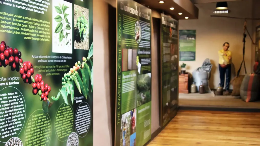 Coffee Museum Cusco – Discover Peru’s Coffee Culture